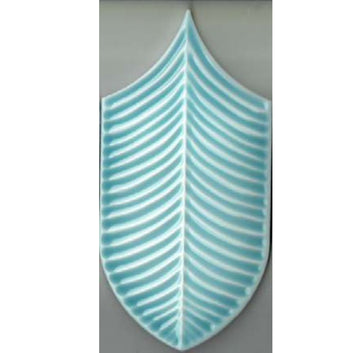 Calathea Pop