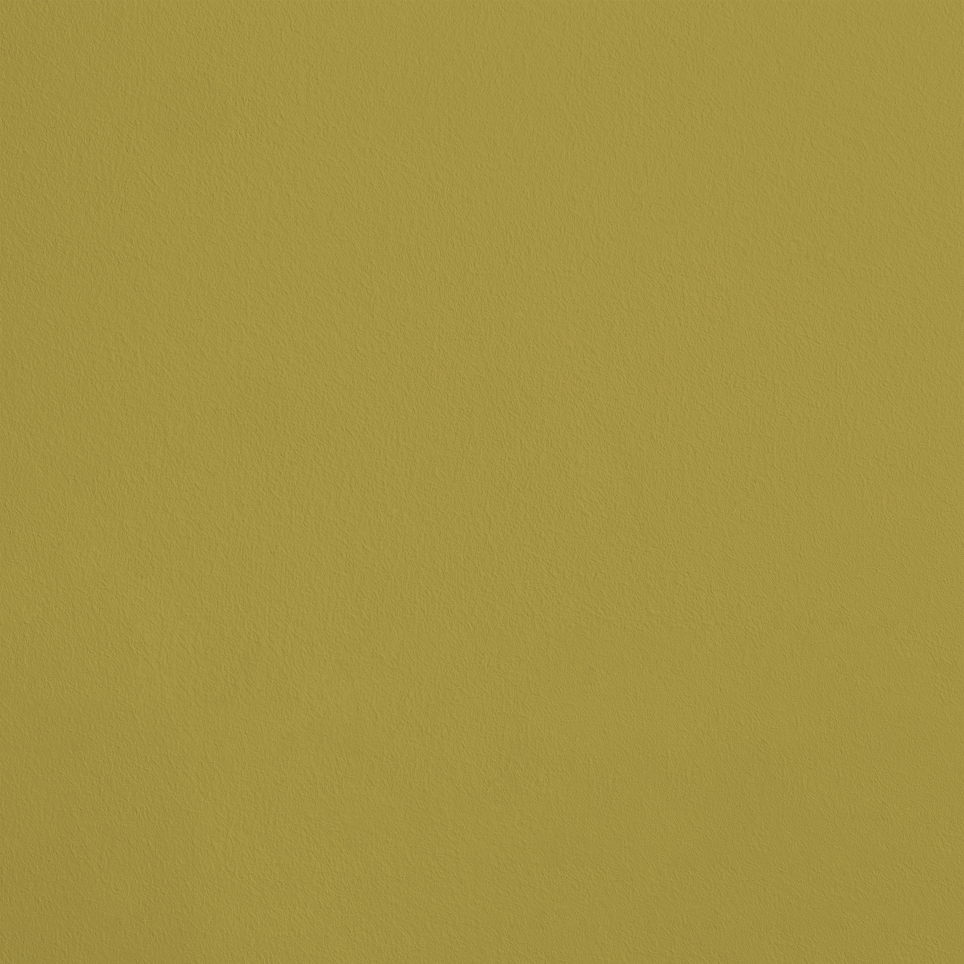 R264 Tester Pot - L’Euphorbe - color_card image