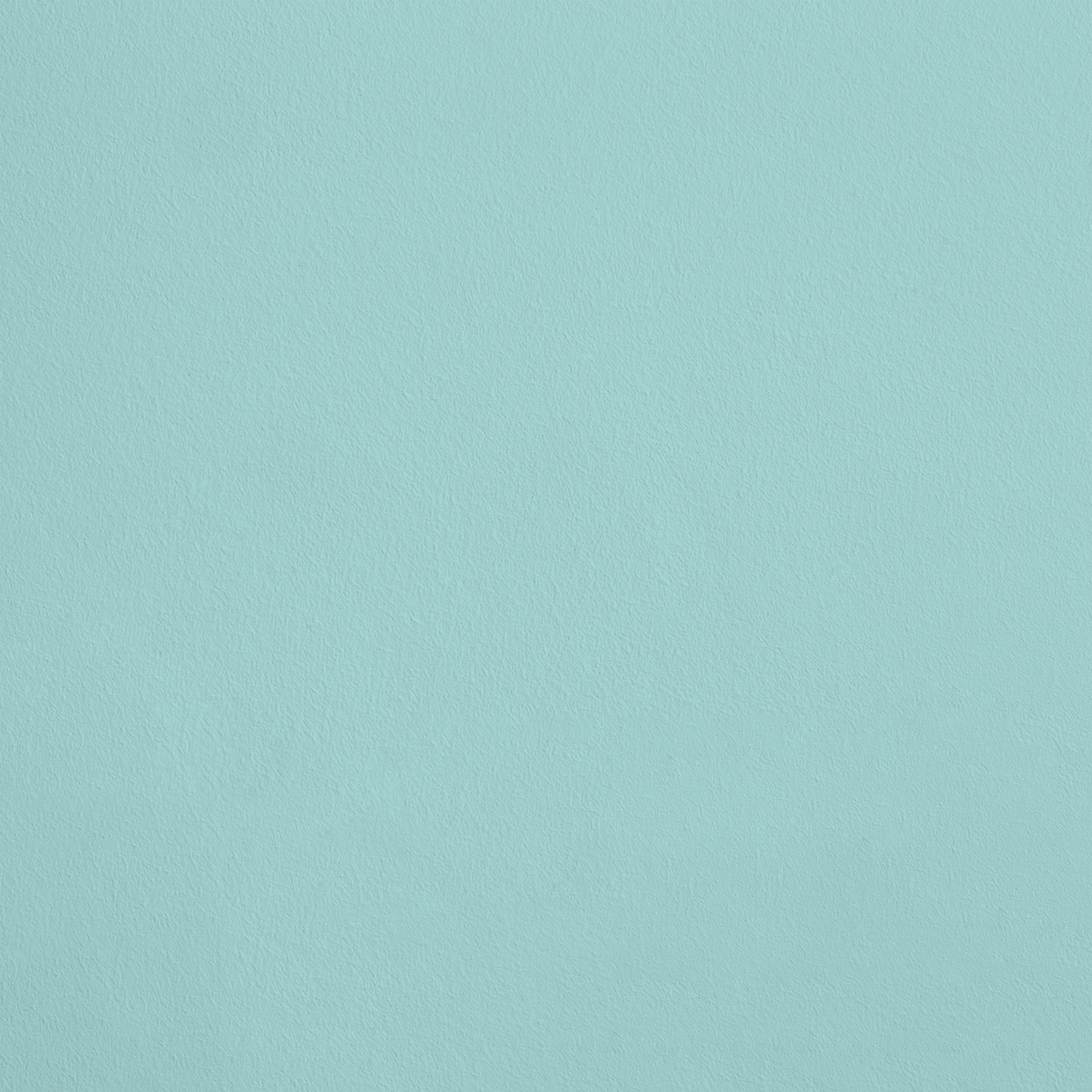 R801 Tester Pot - Le Matin - color_card image