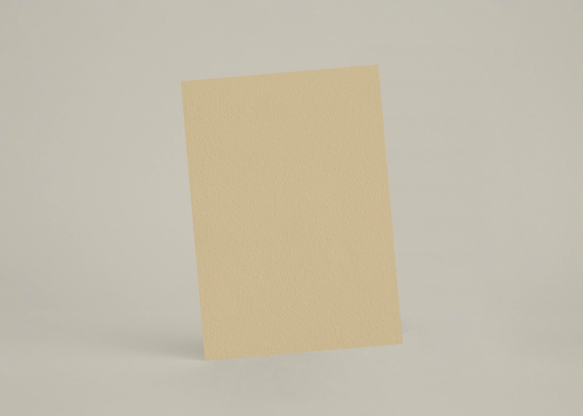 Échantillon - Epeautre - pap_kalkmaling image