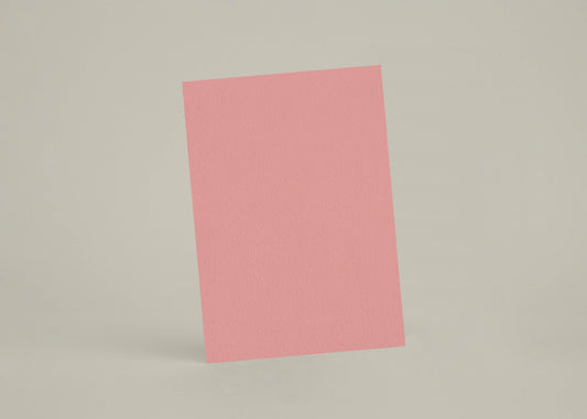 Échantillon - Pastèque