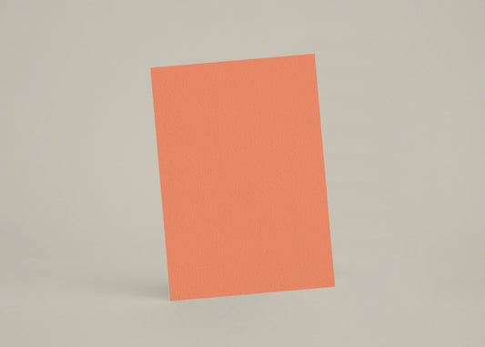 Échantillon - Sunset