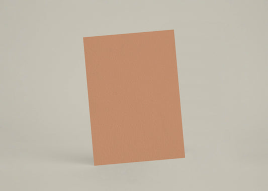 Échantillon - Terre de Tuile