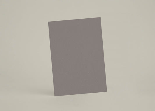 Échantillon - Gris Cendré