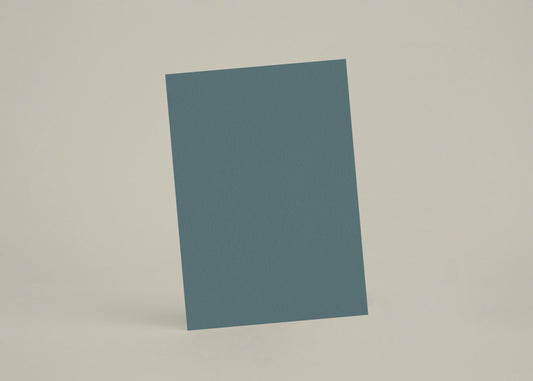 Échantillon - Canard