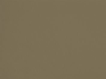 Échantillon - Yeuse