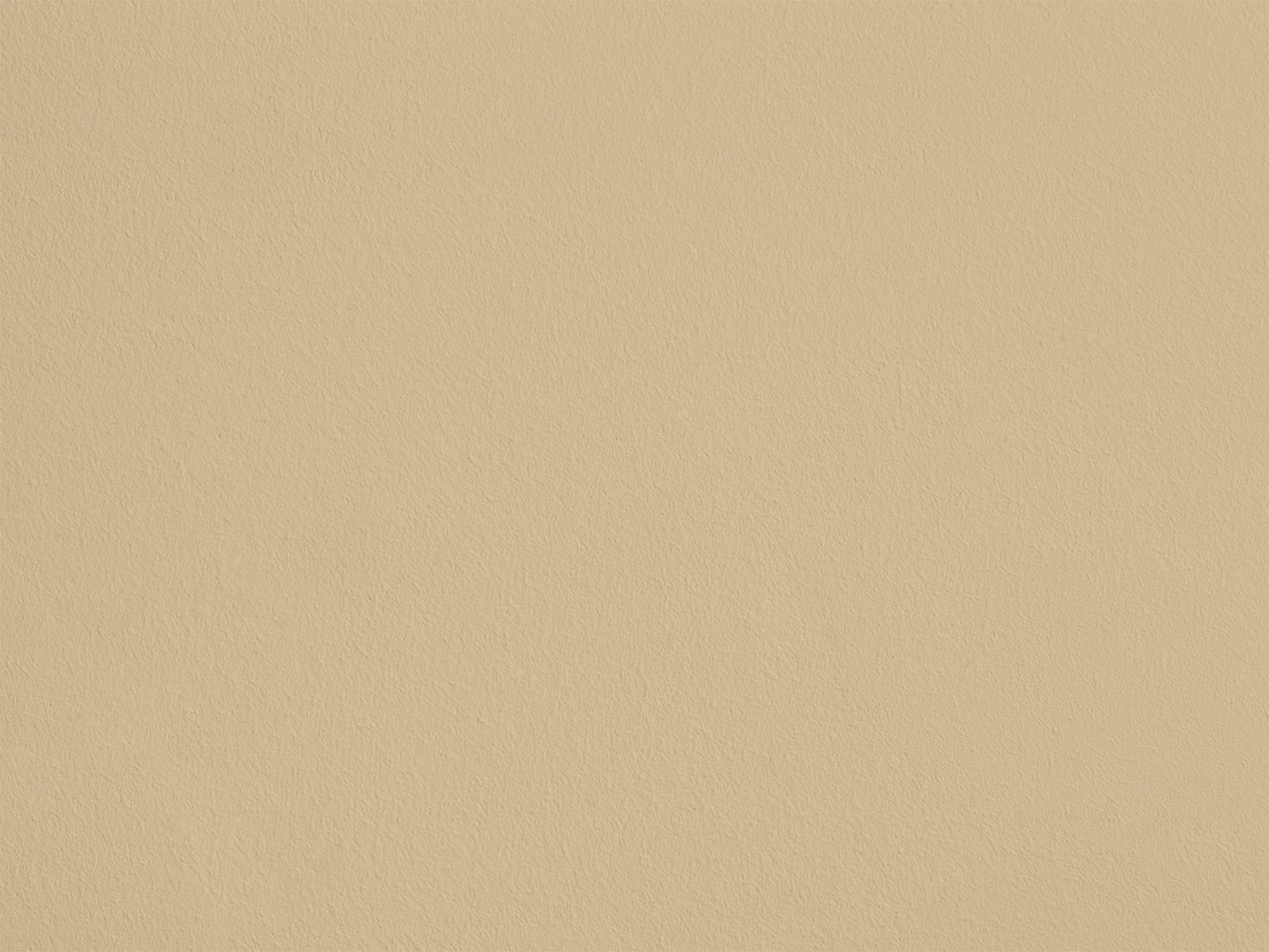 Échantillon - Epeautre - farver_kalkmaling image