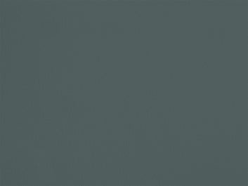 Échantillon - Cyprès