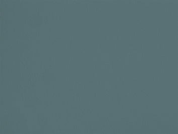 Échantillon - Canard